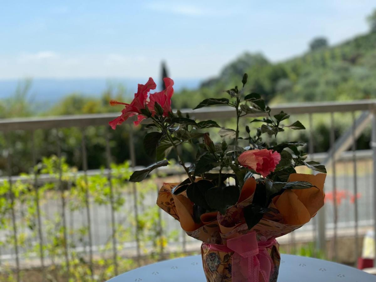 Apartamento A Casa Di Silvia Gambassi Terme Exterior foto