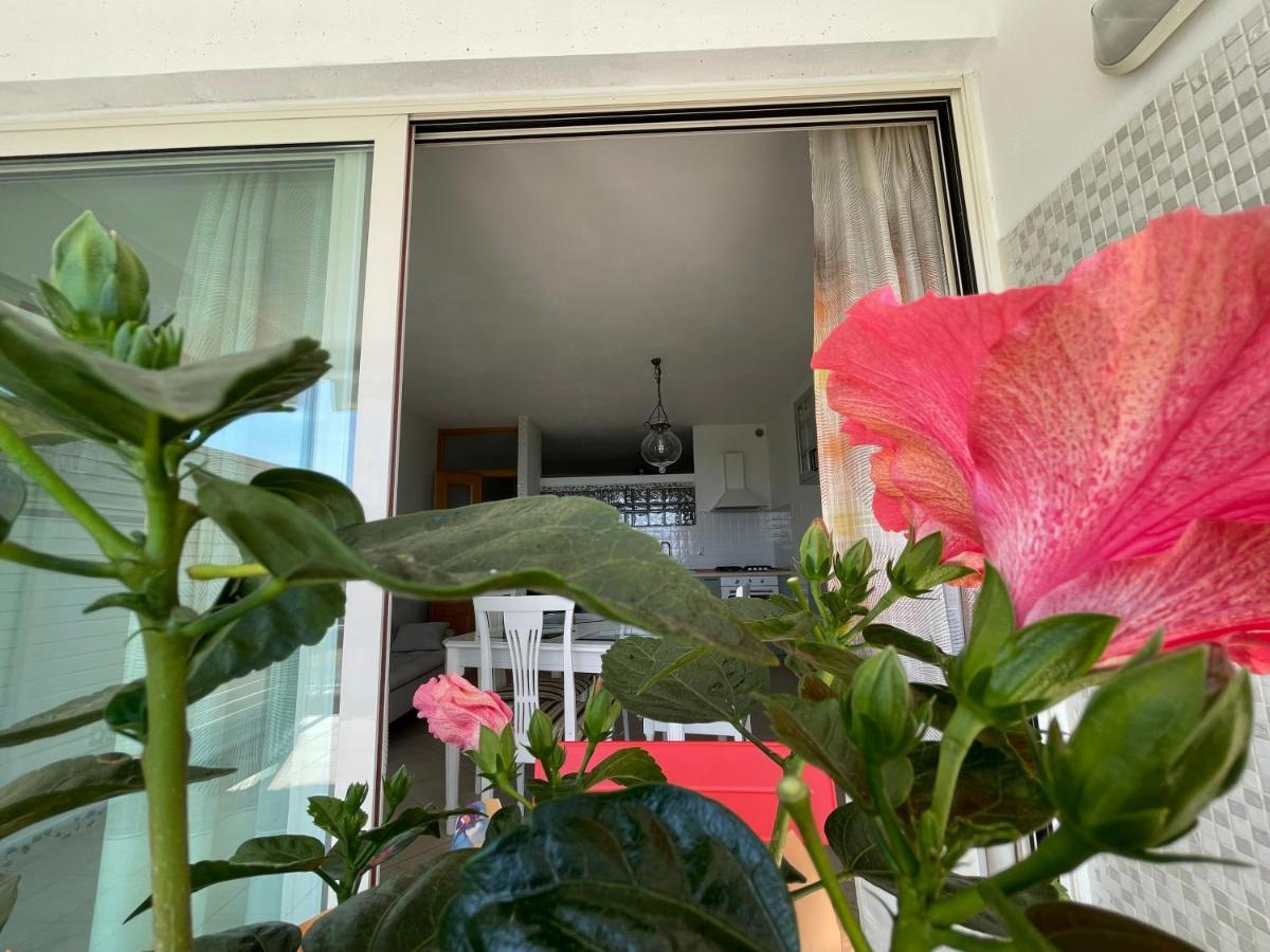 Apartamento A Casa Di Silvia Gambassi Terme Exterior foto
