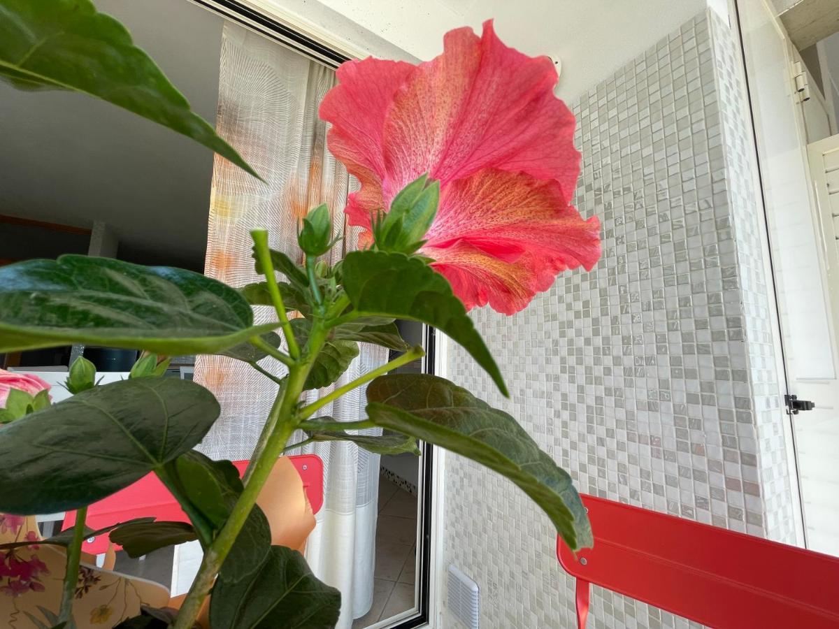 Apartamento A Casa Di Silvia Gambassi Terme Exterior foto
