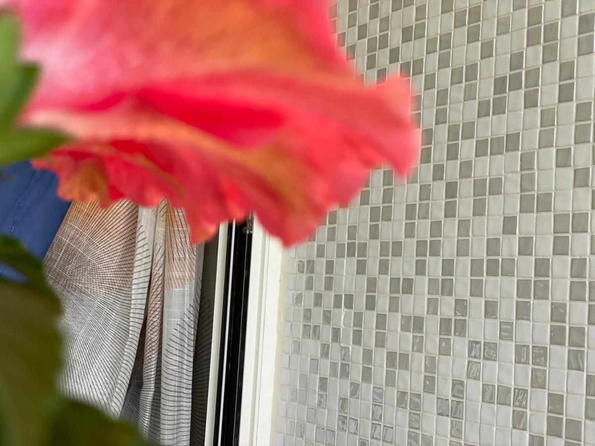 Apartamento A Casa Di Silvia Gambassi Terme Exterior foto